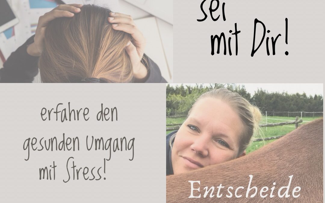 Stress sei mit Dir!