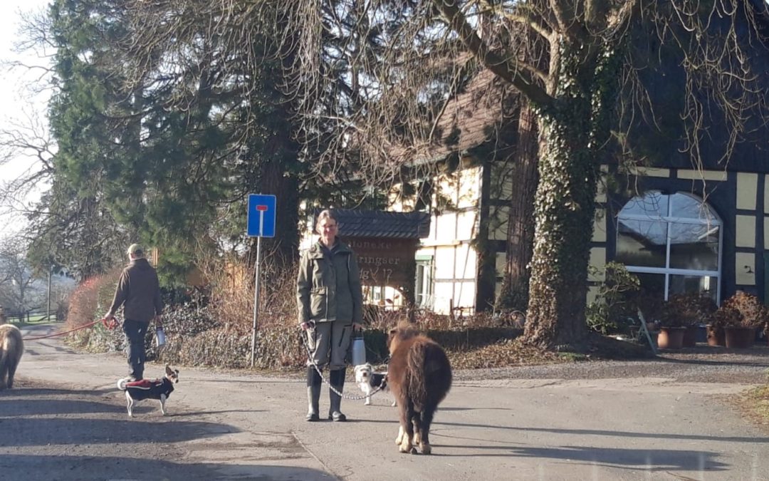 Milch holen stehen